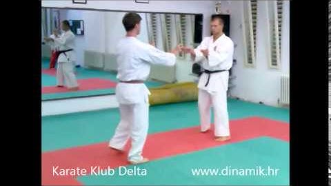 Uechi ryu Dan kumite