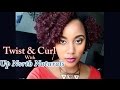 Easy Natural Hairstyle-Twist and Curl + Up North Naturals