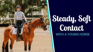 From Fussy to Steady: Fixing Inconsistent Rein Contact