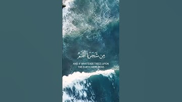 #القرآن_الكريم #سورة - لقمان #الشيخ محمد صديق المنشاوي #راحه_وطمأنينه_للقلب