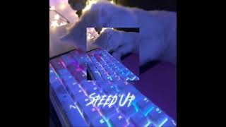 почему котикам компьютеры не нравятся (speed up)