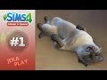 The Sims 4 Кошки и собаки | Милые создания! - #1