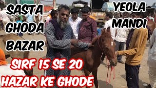 Baby horses wholesalers Yousuf bhai Gujarat wale laaye saste ghode ke bachche in Yeola ghoda Mandi