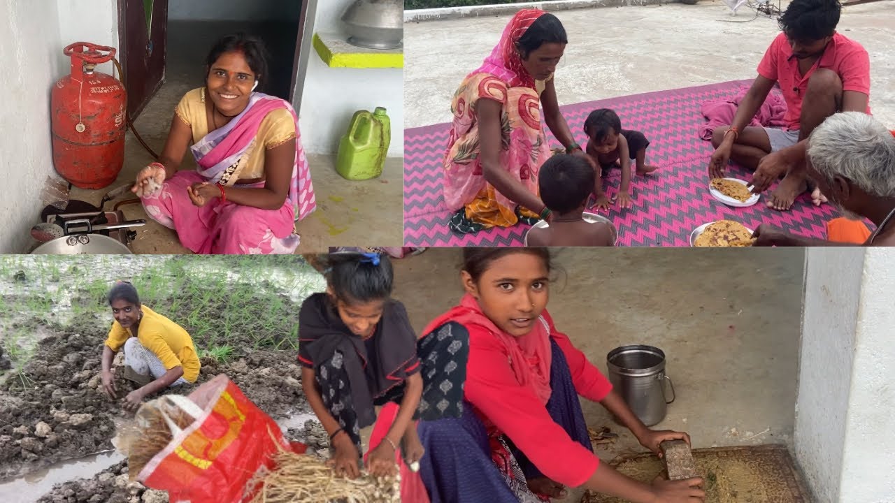 आरती बहन ने आलू के परेठा बनाये है खेत में धान लगा रहे है #shivnandani #familyvlog #mangalbhaipatel