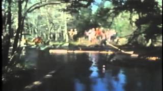 The Last Log Drive Short