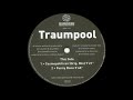 Traumpool   cosmopolitican   original mix a1