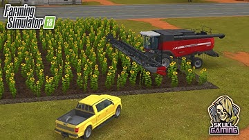 FS18, Farming Simulator 18 First Time Sunflower Harvesting in Farm | Timelapse #skullgaming