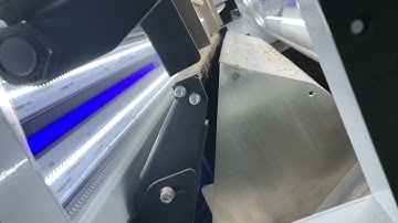 Wesort Multigrain Color Sorter