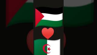 جيناكم من فلسطين يا الجزائر نور العين 🇩🇿♥️🇵🇸