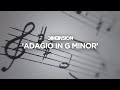 Dim3nsion  adagio in g minor coldharbour