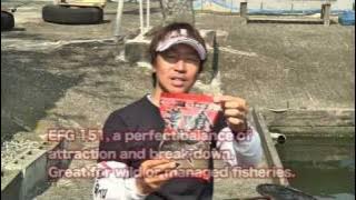 MARUKYU　　「EFG151」（ARAGUI）　　ENGLISH