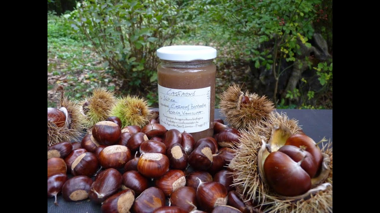 La Videoricetta della mitica CONFETTURA DI CASTAGNE dell'Agriturismo San Lorenzo di Fiuggi (FR)!