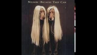 Download lagu Nelson - Peace On Earth