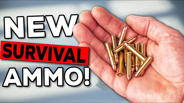 Is .22 Magnum the Hidden Key to Surviving in a High Risk Urban Environment?