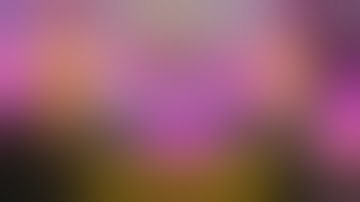 БУСТЕР и АКУЛИЧ играют ТУРНИР в CS2 против СТРОГО!