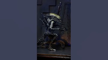 Why is “Grid” considered the smartest Xenomorph? #movie #scifi # xenomorph