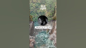 قُتِلَ الْإِنسَانُ مَا أَكْفَرَهُ﴾من سورة عَبَسَ [ ١٧-٢٣]