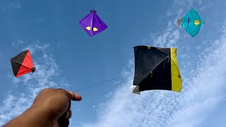Kite looting on roof 😱 | Caught kites | Kite |