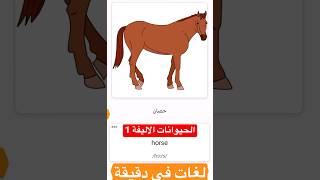 (الحيوانات الاليفة 1) اسهل طريقة لتعليم الغه الانجليزية في دقيقة واحدا كل يوم english education 