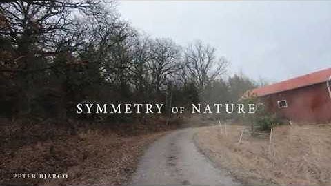 Peter Bjärgö - Symmetry of Nature