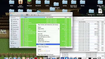 Minecraft 1.3.1 | Modloader & TooManyItems