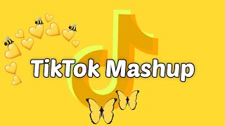 TikTok Mashup 2020 (not clean)