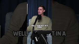 “Free Range” and “Pasture Raised” in the grocery store are not what you’re expecting. I’m sorry…