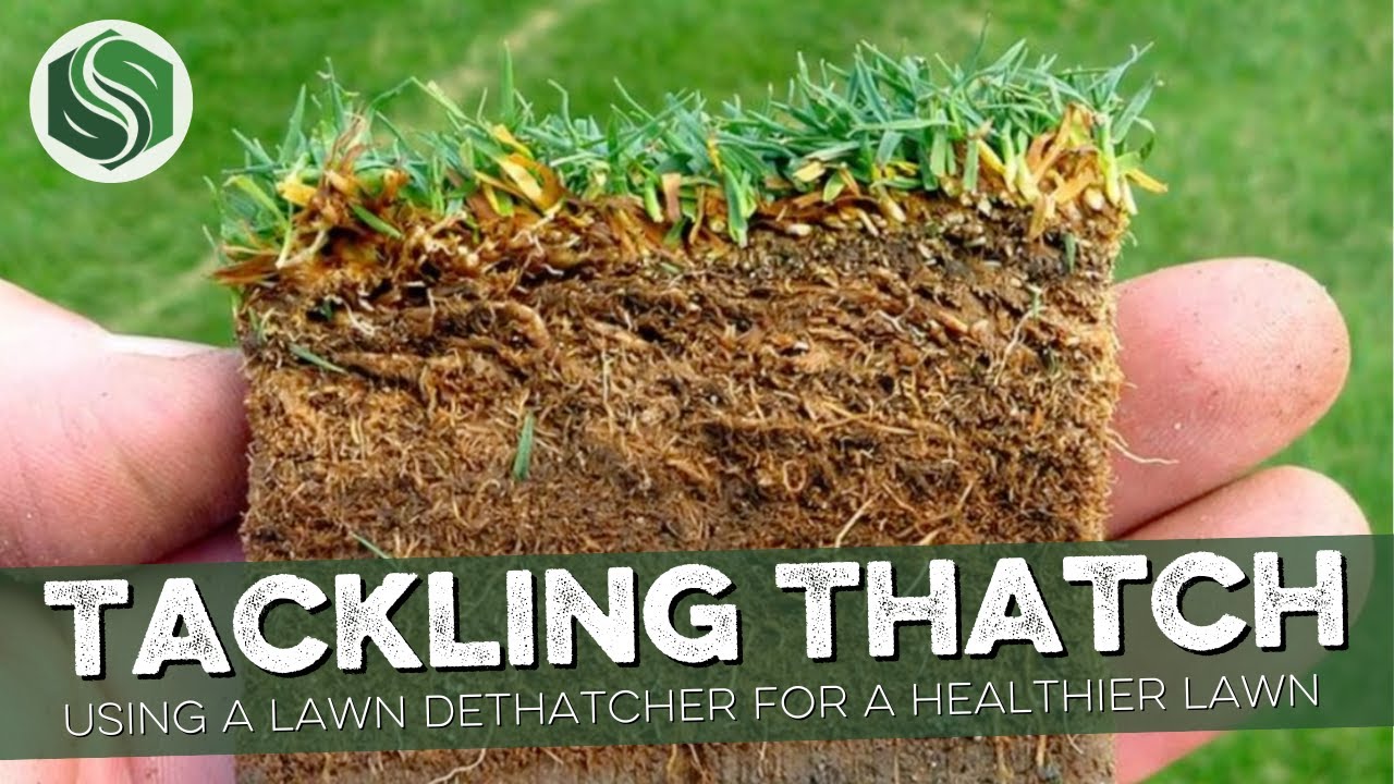 Tackling Thatch: Using a Lawn Dethatcher for a Healthier Lawn