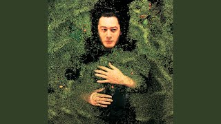 Video thumbnail of "Alain Bashung - Mes prisons"