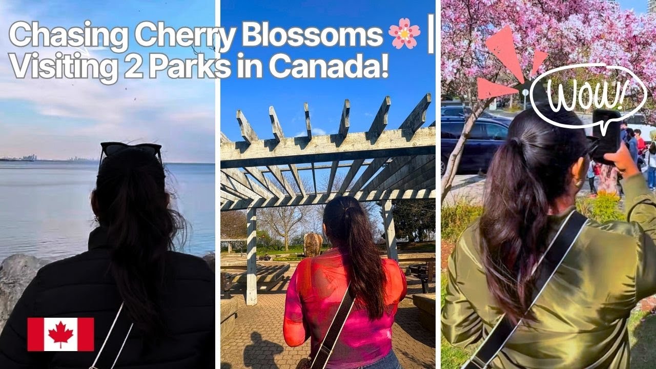 Cherry Blossom බලන්න යමු 🌸 Canada Spring Vibes 🇨🇦