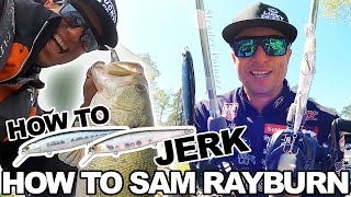 Slender Pointer / Prespawn Jerkbait All Catches / Brent Ehrler / Sam Rayburn, TX