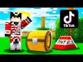 JE TESTE DES HACKS TIKTOK DANS MINECRAFT !