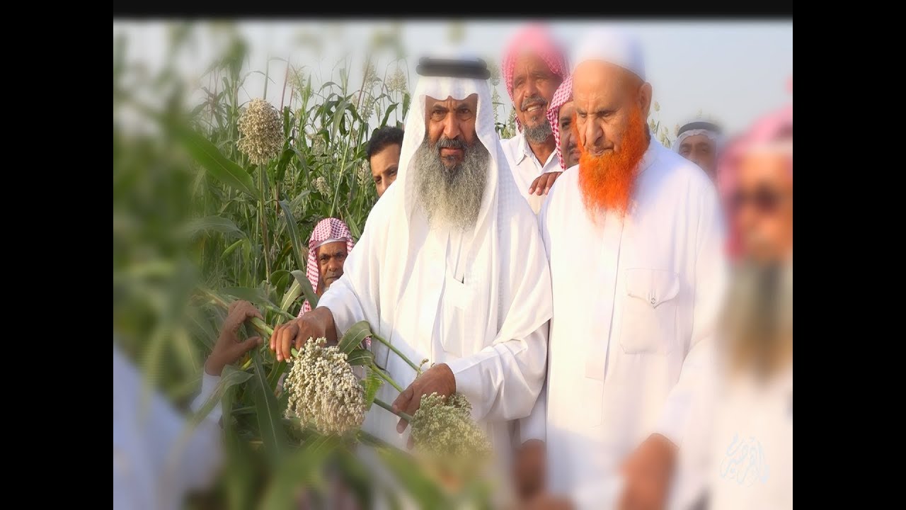 موسم الخضير في وادي خلب بمحافظة أحد المسارحة(وثائقي)