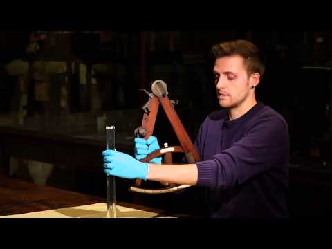 Animate It -