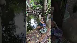 ¿Que hacer cerca de Bogotá - Parque Monarca, Mariposario #colombia #parques #familia