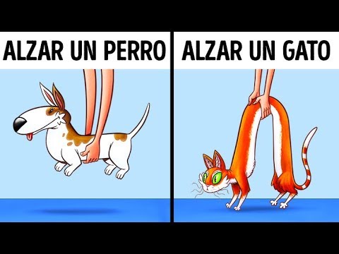 9 Pruebas De Que Los Gatos Y Los Perros Son De Planetas Diferentes
