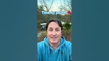 Grape vine pruning time! 🍇 🍷 #grapevine #pruning #gardenvlog