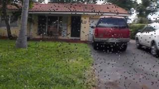 480 NW 88th Terrace, El Portal, FL 33150