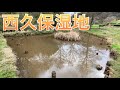 【狭山丘陵】巨大ダムより面白い隠れ水脈。大谷戸・西久保湿地で理にかなった地形を歩く