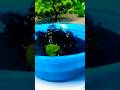 Wait for it | Slow Motion Water Experiment #satisfying #waterexperiments #slowmotion #shorts