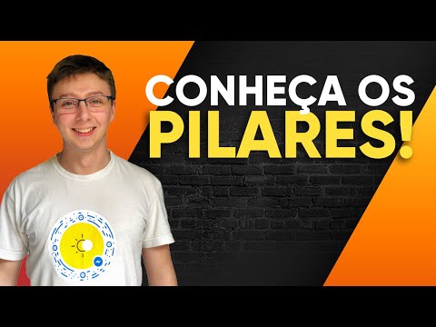 QUAIS SÃO OS PILARES DA INTELIGÊNCIA EMOCIONAL?