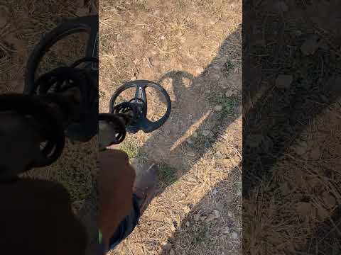 جهاز كشف الذهب رحلة استكشاف في الطبيعة