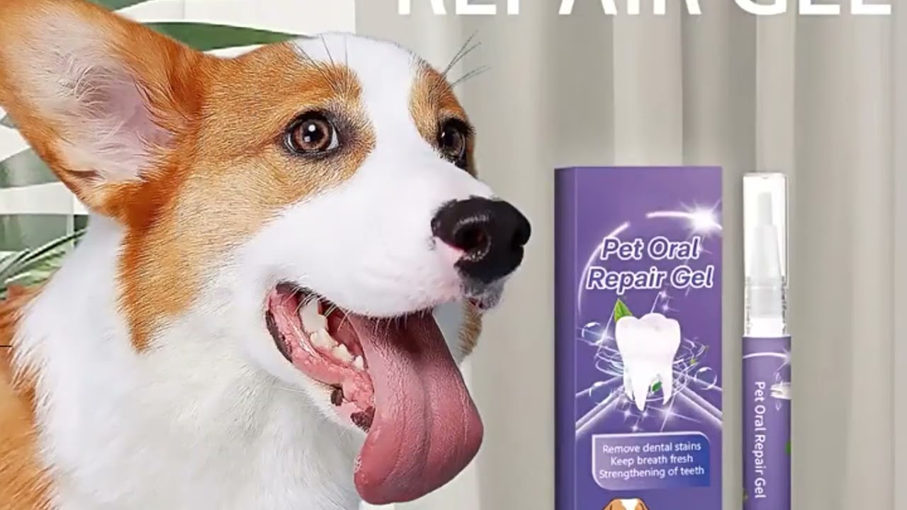 Pet Oral Repair Gel Tooth