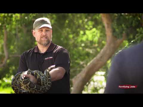 Distracted Drivers Terrify Me - Snake Wrangler