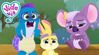 La Gastroenterite Di Pippen Vida La Vet Cartoni Animati Per Bambini