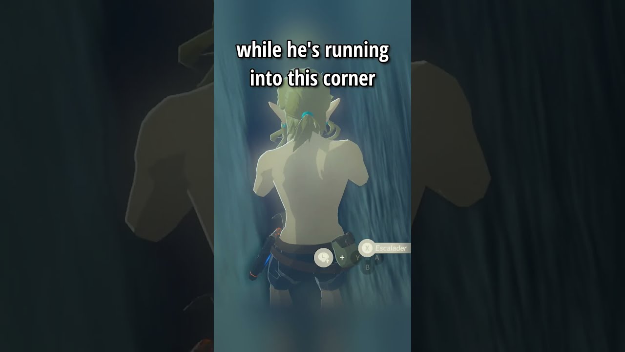 The FASTEST Breath Of Wild Speedrun