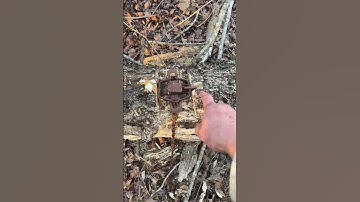 Quick tip for log sets #trapping #snaring #coontrapping