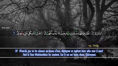 Surah Al Mulk Ali Al Turkmani II سورة الملك علي التركماني