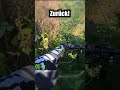 Falscher Trail 😅 besser schnell wieder raus#eride #eridepro #surron #talaria #emoto