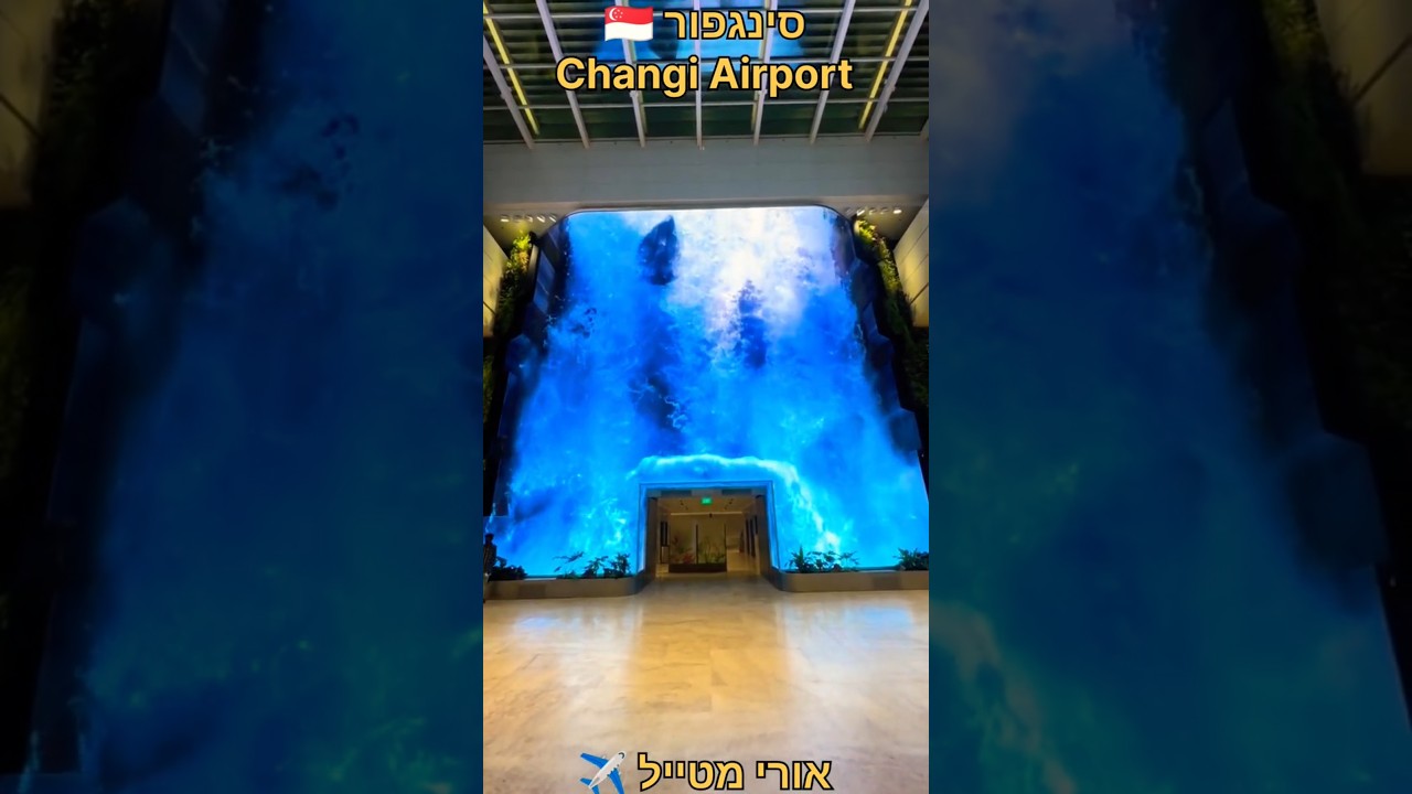 #אורימטייל ✈️ | סינגפור 🇸🇬 | נמל תעופה צ'נגי | Changi Air Port | שדה התעופה הטוב בעולם